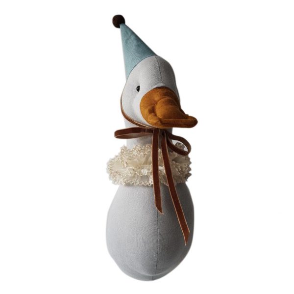 Duck circus pigeon color in turquoise cap