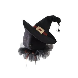 Halloween cat in a black hat